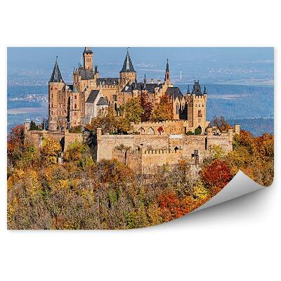 Fototapet pentru perete Castelul Hohenschwangau Alpii Bavari Conifere Munți