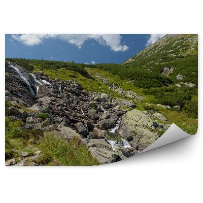 Decor fototapet Cascada Munții Tatra Vara Natură Poloneză