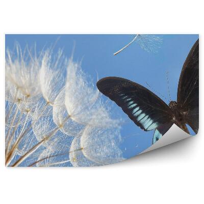 Decor fototapet Seminte de papadie plante fluturi