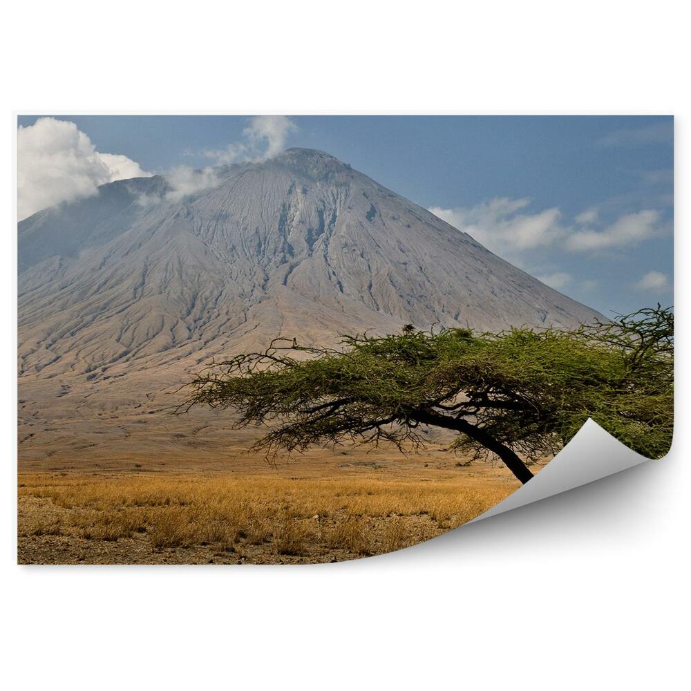 Fototapet perete Tanzania Vulcan Copac Cer Nori