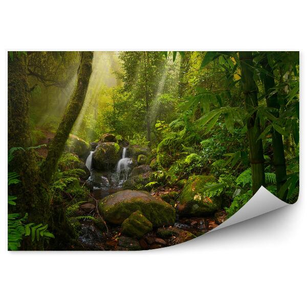 Decor fototapet Cascada De Pădure Tropicală Pietre Copaci