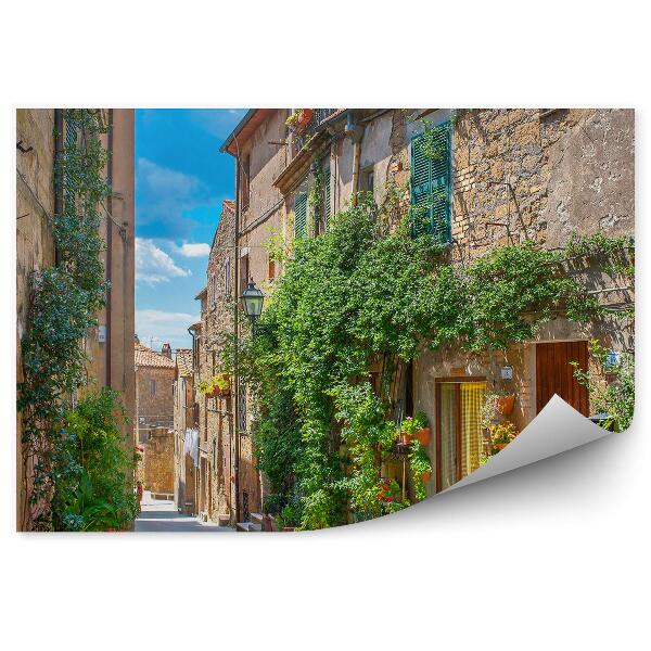 Decor fototapet Strada Cu Flori Frumoase Toscana