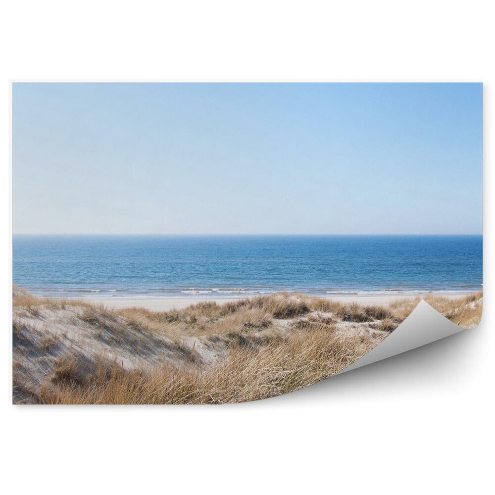 Fototapet Dune Marea Nordului Iarbă Plajă Nisip Cer
