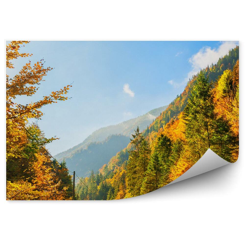 Fototapet Toamna Munti Alpi Copaci Plante Drum Cer Nori