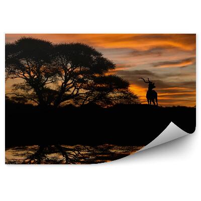 Fototapet Copacii De Antilopă Plantează Lacul Apus De Soare