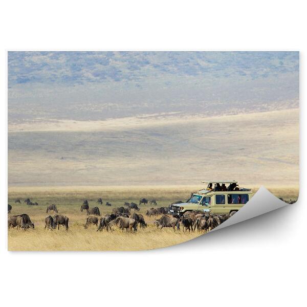 Decor fototapet Safari Cu Antilope Gnu