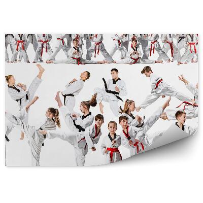 Fototapet perete Colaj de formare karate copii