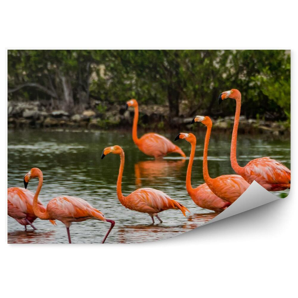 Fototapet vintage Flamingos Marea Caraibelor Plante Copaci