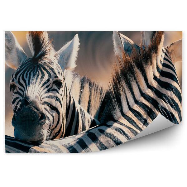 Decor fototapet Zebră în tufiș animale sălbatice din Africa