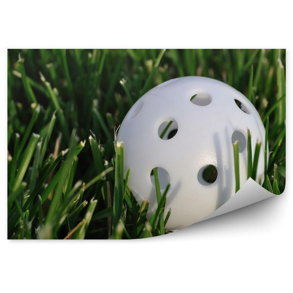 Fototapet perete Mingea de golf iarbă