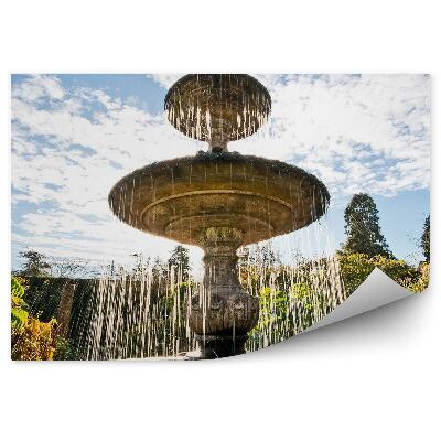 Fototapet pentru perete Fântână Grădină Apă Vegetație