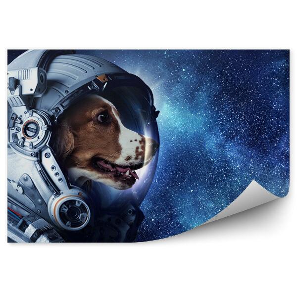 Fototapet Câine Astronaut Cer Stele Calea Lactee