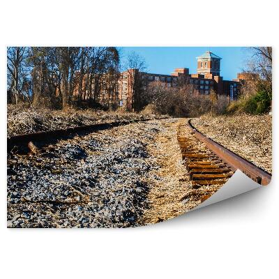 Decor fototapet Căi ferate distruse pietre iarbă oraș