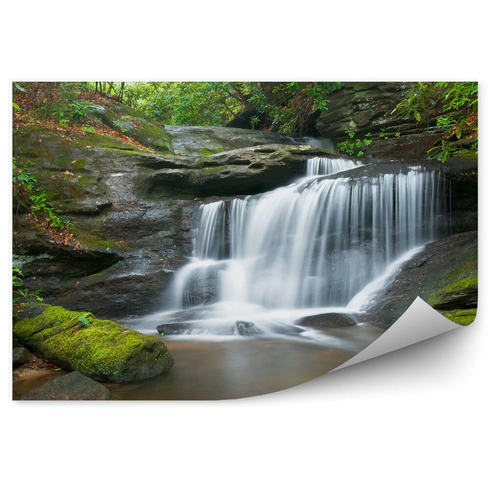Decor fototapet Cascade, Pădure, Pace Și Verde