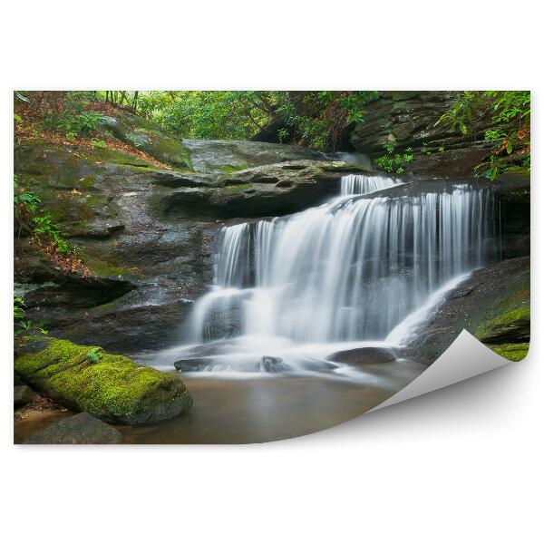 Decor fototapet Cascade, Pădure, Pace Și Verde