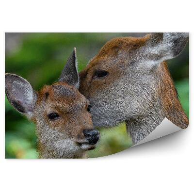 Fototapet vintage Căprioară Și Pui