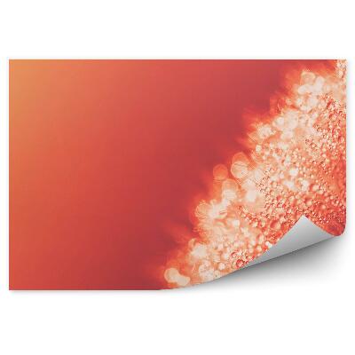 Fototapet pentru perete Macro seminte de papadie