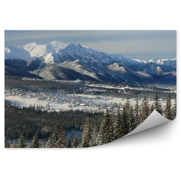 Fototapet perete Panorama Munții Zakopane Zăpadă Iarnă Munții Tatra
