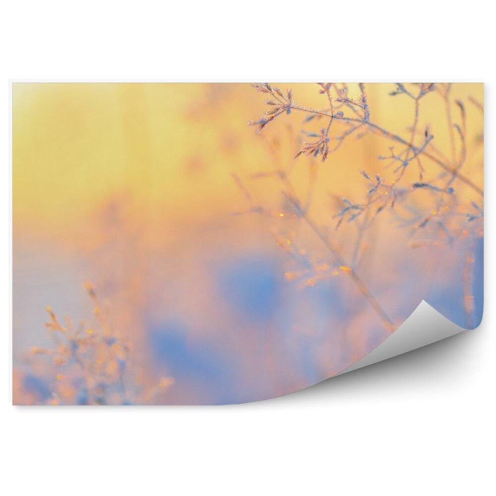 Fototapet vintage Cristale De Gheață Pe Iarba De Iarnă