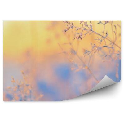 Fototapet vintage Cristale De Gheață Pe Iarba De Iarnă