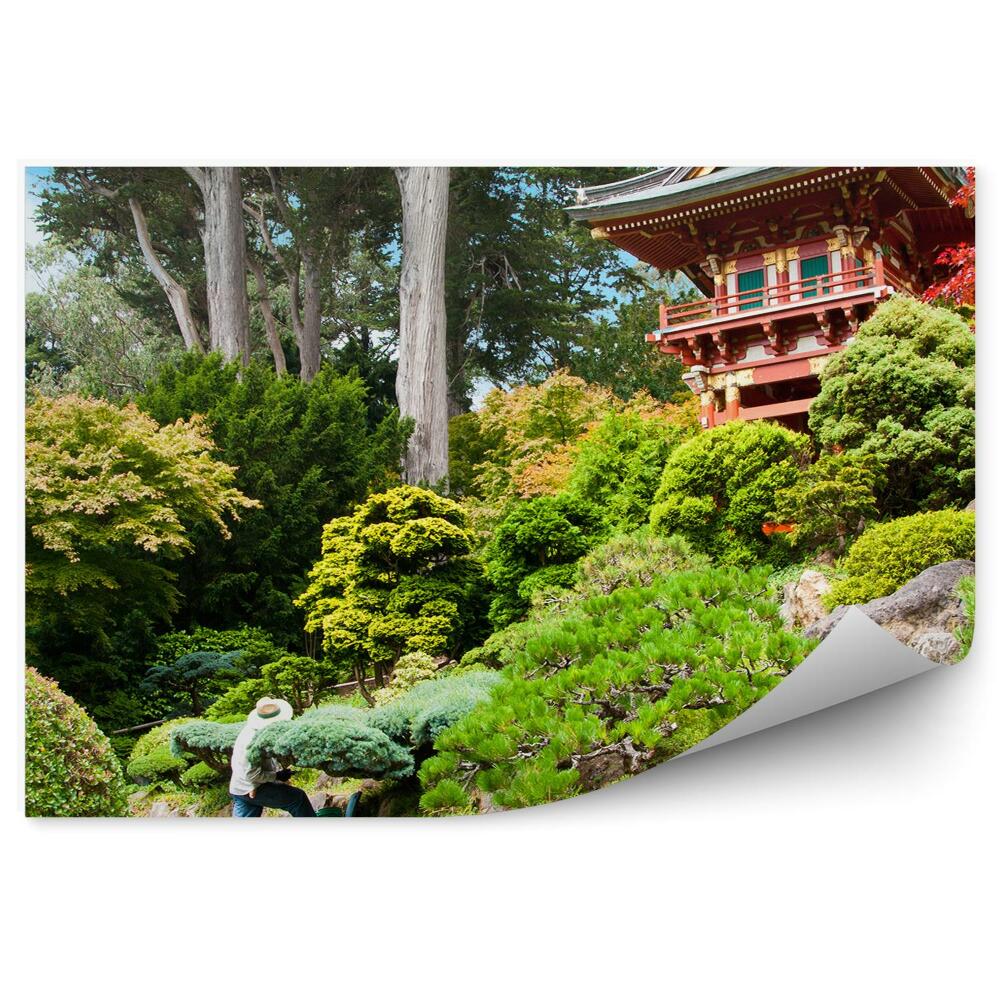 Fototapet pentru perete Grădina de ceai japoneză vegetație asia