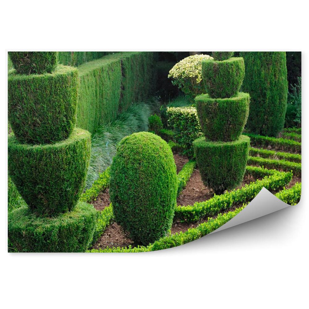 Fototapet Tufișuri Decorative, Verdeață De Grădină