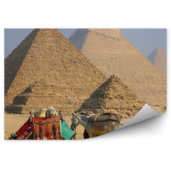 Fototapet vintage Beduini măgar cămilă nisip piramide