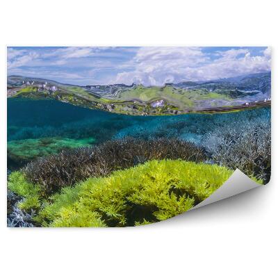 Fototapet vintage Apa Fluorescentă De Recif De Corali