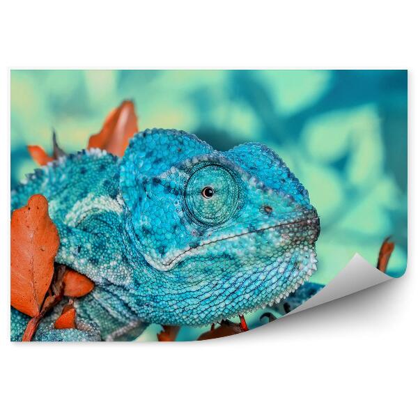 Fototapet vintage Cameleon Albastru Și Frunze Portocalii