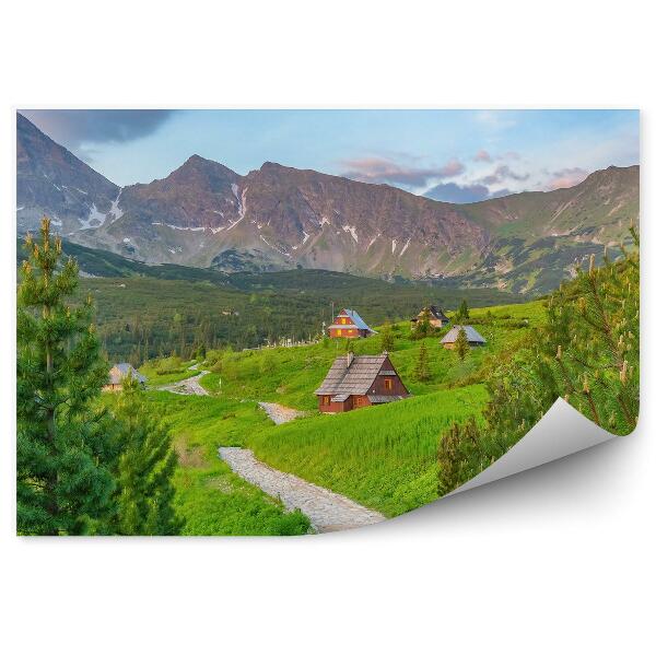 Fototapet Munți Munții Tatra Zakopane Cer Nori Case Conifere Poteca