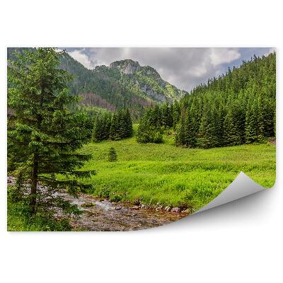 Fototapet vintage Pârâul De Vale Verde Munții Tatra