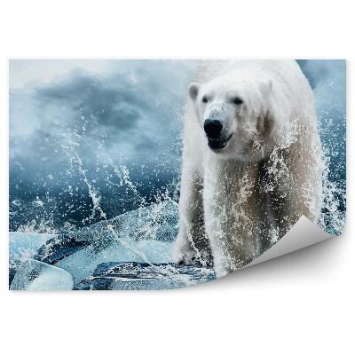 Decor fototapet Ursul Polar Pe Gheață Printre Picături De Apă