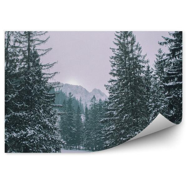 Fototapet perete Pădurea De Pini De Iarnă În Zakopane