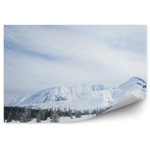 Fototapet perete Munți Zakopane Zăpadă Iarnă Cer Nori Conifere Munții Tatra