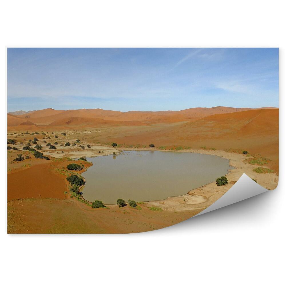 Fototapet Oază de nisip din deșert din Africa