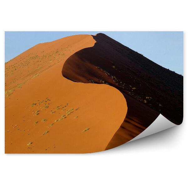 Fototapet perete Dune de nisip Africa desert