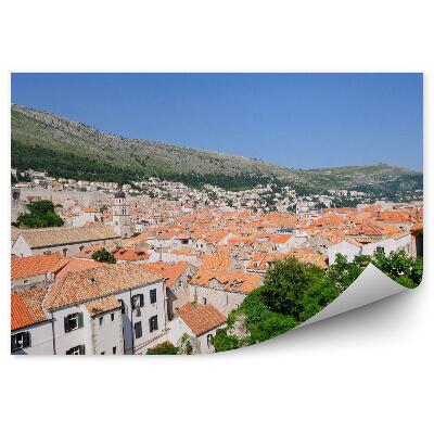 Fototapet Natură sere arhitectură