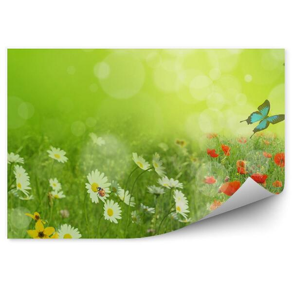 Decor fototapet Fluturi De Luncă De Primăvară Flori De Gărgăriță Verde