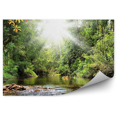 Fototapet Plante de râu de copaci verzi