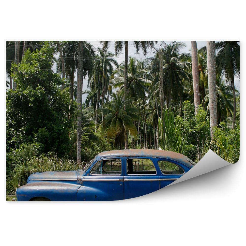 Fototapet perete Cuba vegetație palmieri mașină de epocă