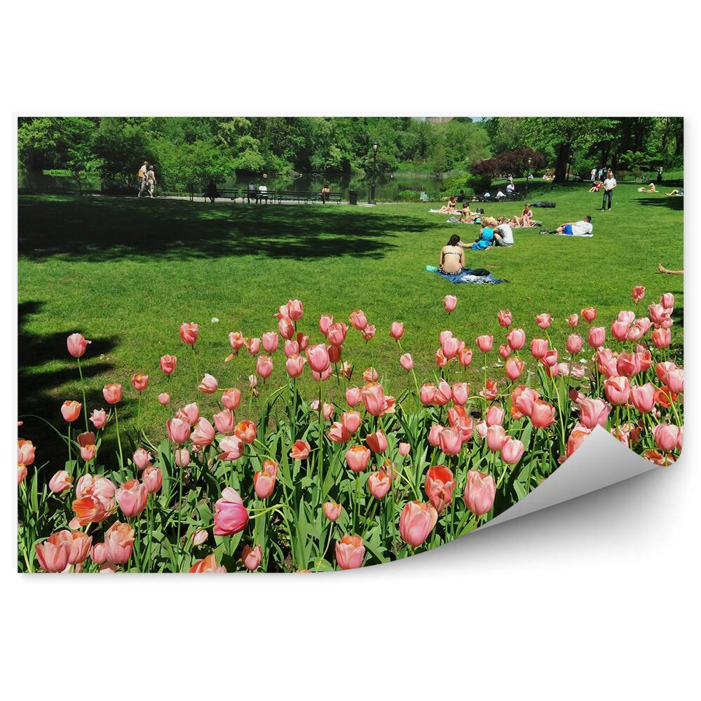 Decor fototapet Lalele roz în Central Park
