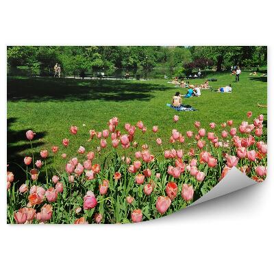 Decor fototapet Lalele roz în Central Park