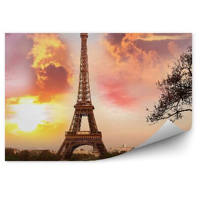 Fototapet pentru perete Paris Turnul Eiffel Paris nor parc