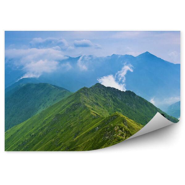 Fototapet Fotograf Munți Verde Natură Cer Nori