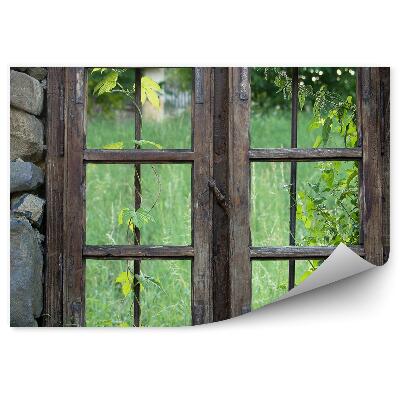 Fototapet vintage Pietre de la fereastra din lemn cu iarbă verde