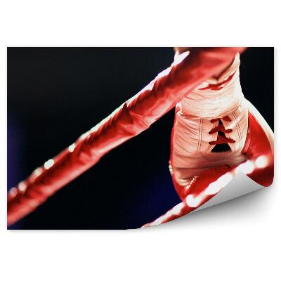 Fototapet Mănuși de box ring