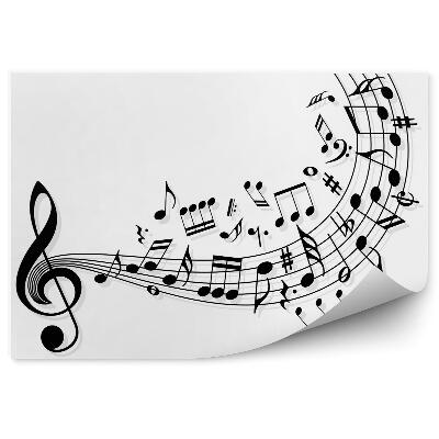 Fototapet perete Partituri Și Chei De Sol