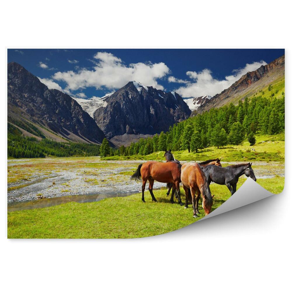 Fototapet vintage Horses and mountain landscape