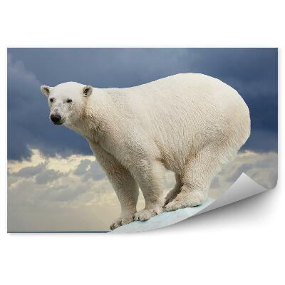 Fototapet Un Urs Polar Pe Fundalul Unui Cer Întunecat