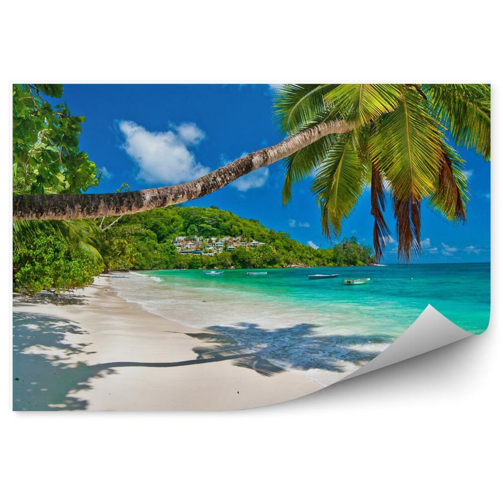 Fototapet perete Panorama Plajei Din Seychelles